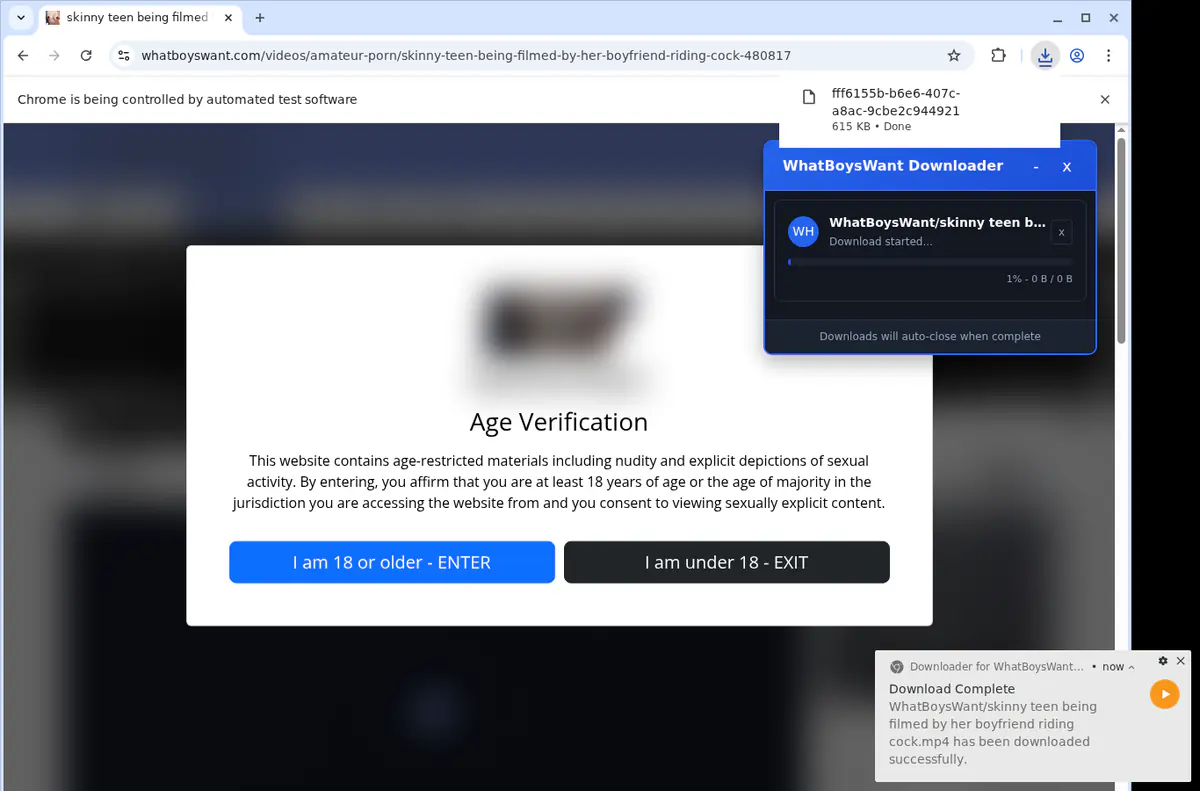 Whatboyswant Video Downloader browser extension screenshot 2