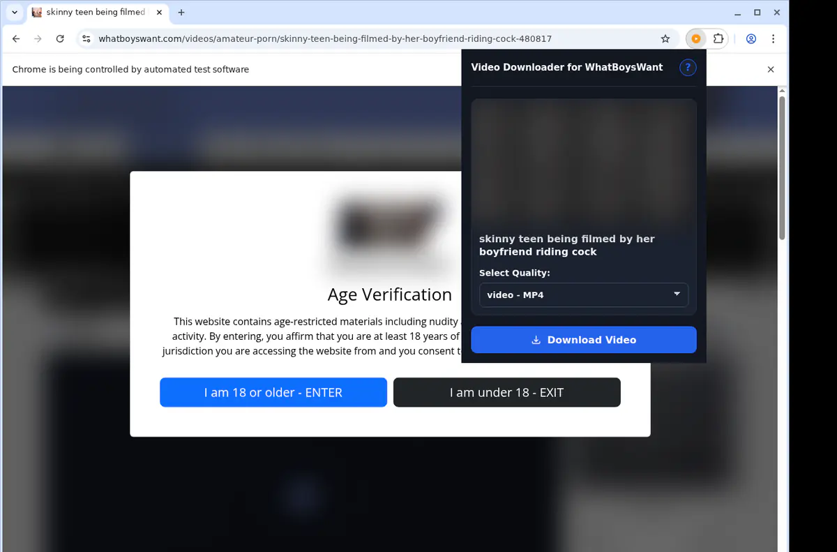 Whatboyswant Video Downloader browser extension screenshot 3