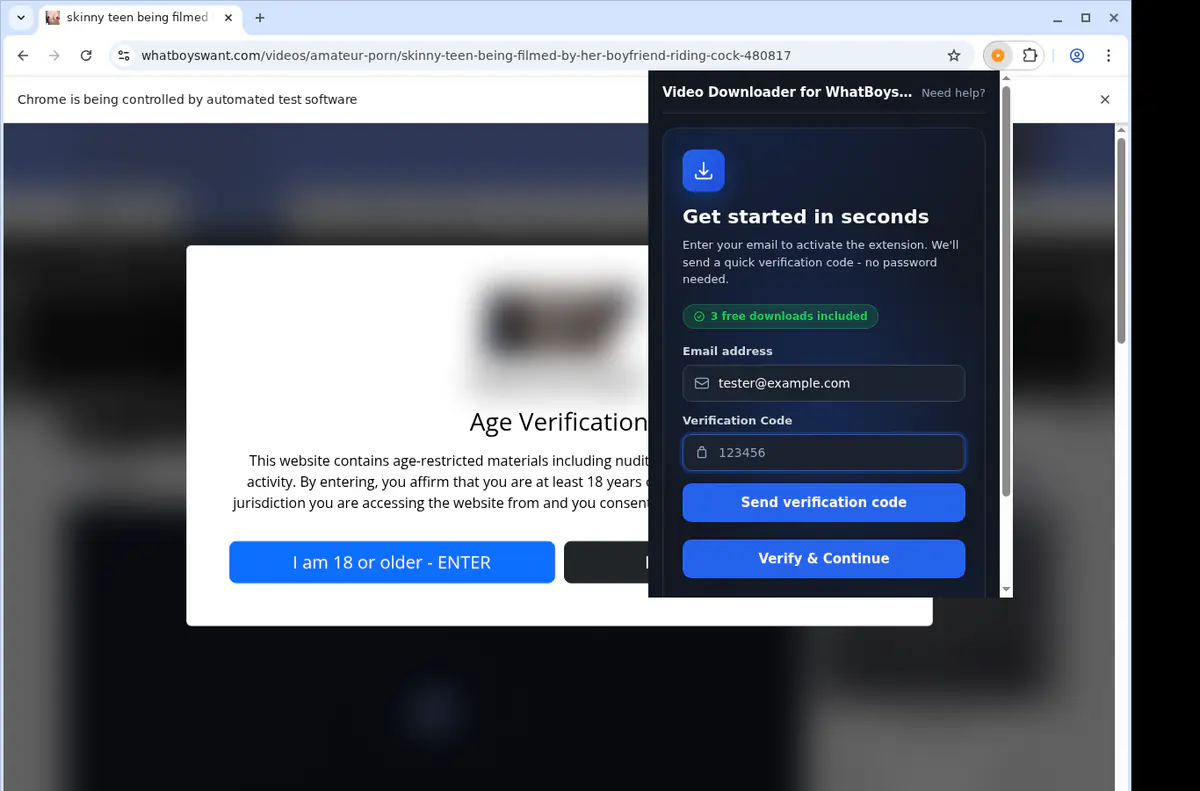 Whatboyswant Video Downloader browser extension screenshot 4