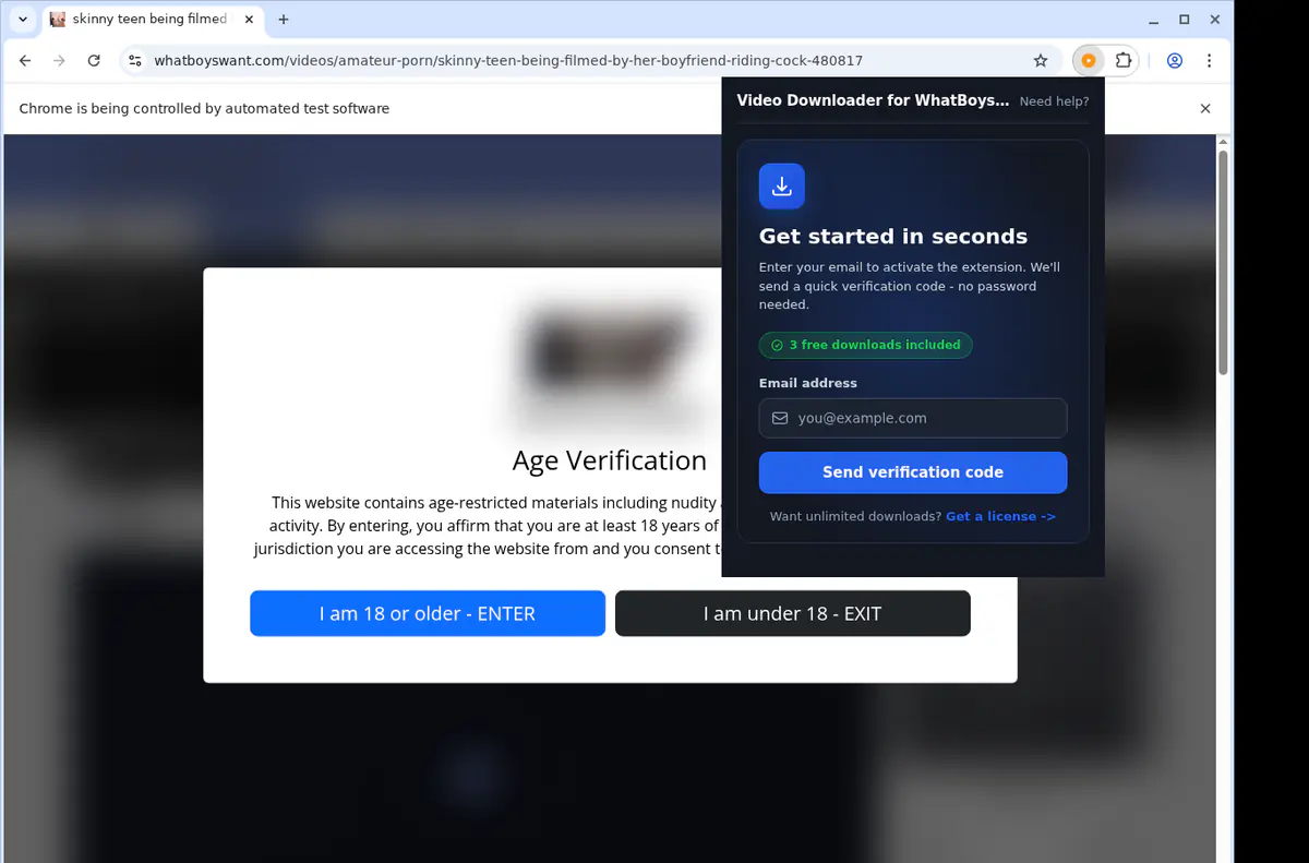 Whatboyswant Video Downloader browser extension screenshot 5